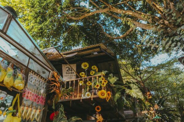 Speak Thai Like a Local - Essential Phrases for Everyday Life in Chiang Mai