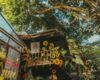 Speak Thai Like a Local - Essential Phrases for Everyday Life in Chiang Mai