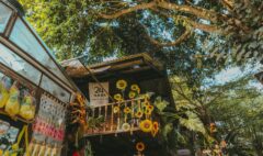 Speak Thai Like a Local - Essential Phrases for Everyday Life in Chiang Mai
